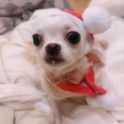 ヒメ日記 2024/12/26 18:16 投稿 あや マリン宇都宮店