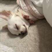 ヒメ日記 2024/12/30 18:28 投稿 あや マリン宇都宮店