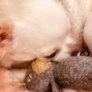 ヒメ日記 2025/01/30 22:29 投稿 あや マリン宇都宮店