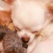 ヒメ日記 2025/02/06 06:56 投稿 あや マリン宇都宮店