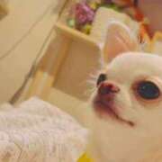 ヒメ日記 2025/08/28 15:56 投稿 あや マリン宇都宮店