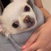 ヒメ日記 2025/10/24 16:18 投稿 あや マリン宇都宮店