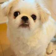 ヒメ日記 2025/11/09 18:26 投稿 あや マリン宇都宮店