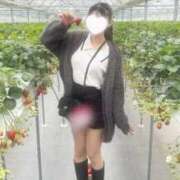 ヒメ日記 2026/03/23 19:52 投稿 あくあ 手コキ＆オナクラ 大阪はまちゃん 谷九店