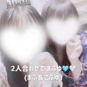 ヒメ日記 2024/12/23 16:24 投稿 まふ いざ候 別館