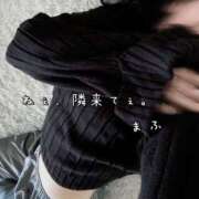 ヒメ日記 2025/01/14 10:14 投稿 まふ いざ候 別館