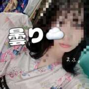 ヒメ日記 2025/01/15 11:11 投稿 まふ いざ候 別館