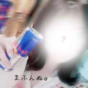 ヒメ日記 2025/01/25 11:15 投稿 まふ いざ候 別館