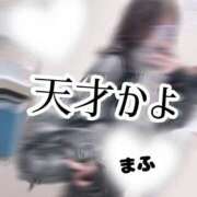 ヒメ日記 2025/01/30 10:54 投稿 まふ いざ候 別館