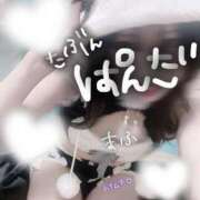 ヒメ日記 2025/01/31 10:14 投稿 まふ いざ候 別館