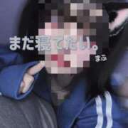 ヒメ日記 2025/02/12 11:14 投稿 まふ いざ候 別館