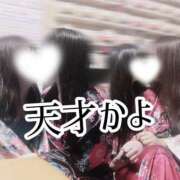 ヒメ日記 2025/02/12 13:14 投稿 まふ いざ候 別館