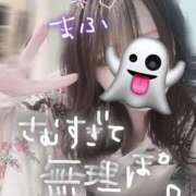 ヒメ日記 2025/02/19 11:21 投稿 まふ いざ候 別館