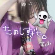 ヒメ日記 2025/03/19 20:54 投稿 まふ いざ候 別館