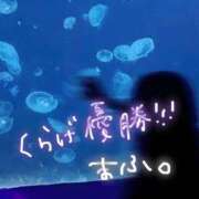 ヒメ日記 2025/03/24 10:50 投稿 まふ いざ候 別館