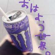 ヒメ日記 2025/06/24 10:54 投稿 まふ いざ候 別館