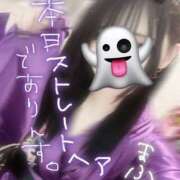 ヒメ日記 2025/06/30 11:16 投稿 まふ いざ候 別館