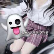 ヒメ日記 2025/11/06 11:17 投稿 まふ いざ候 別館