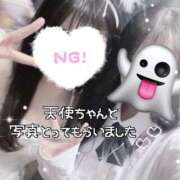 ヒメ日記 2025/11/13 13:54 投稿 まふ いざ候 別館