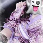 ヒメ日記 2025/12/08 11:05 投稿 まふ いざ候 別館