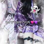 ヒメ日記 2026/01/27 19:49 投稿 まふ いざ候 別館