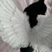 ヒメ日記 2025/01/14 13:26 投稿 うる スパーク日本橋