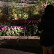 ヒメ日記 2025/11/26 13:08 投稿 うる スパーク日本橋