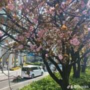 ヒメ日記 2025/04/13 10:10 投稿 せろ 五反田サンキュー