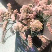 ヒメ日記 2025/05/31 21:24 投稿 せろ 五反田サンキュー