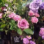 ヒメ日記 2025/06/06 15:52 投稿 せろ 五反田サンキュー