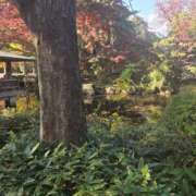 ヒメ日記 2025/11/14 19:39 投稿 せろ 五反田サンキュー