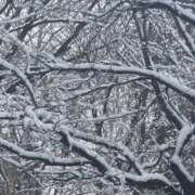 せろ Af 五反田サンキュー