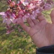 ヒメ日記 2026/03/09 17:55 投稿 せろ 五反田サンキュー