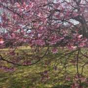 ヒメ日記 2026/03/12 14:29 投稿 せろ 五反田サンキュー