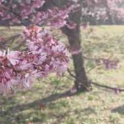 ヒメ日記 2026/03/22 17:29 投稿 せろ 五反田サンキュー