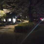 ヒメ日記 2026/04/08 00:59 投稿 せろ 五反田サンキュー