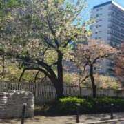 せろ 得意技♥️？ 五反田サンキュー