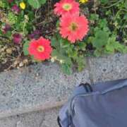 ヒメ日記 2026/04/21 17:42 投稿 せろ 五反田サンキュー