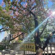 ヒメ日記 2026/04/22 01:49 投稿 せろ 五反田サンキュー