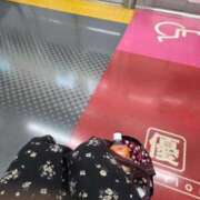 ヒメ日記 2026/09/23 09:19 投稿 せろ 五反田サンキュー