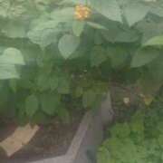 ヒメ日記 2026/10/05 08:09 投稿 せろ 五反田サンキュー