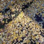 ヒメ日記 2024/12/12 10:20 投稿 はな 人妻小旅行