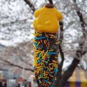 ヒメ日記 2025/04/05 23:22 投稿 はな 人妻小旅行