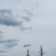 ヒメ日記 2025/04/11 14:52 投稿 はな 人妻小旅行