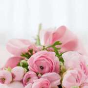 ヒメ日記 2025/04/12 19:22 投稿 はな 人妻小旅行