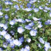 ヒメ日記 2025/05/06 22:32 投稿 はな 人妻小旅行