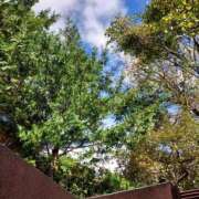 ヒメ日記 2025/11/06 19:57 投稿 はな 人妻小旅行