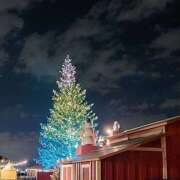 ヒメ日記 2025/11/29 12:17 投稿 はな 人妻小旅行