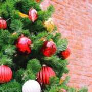 ヒメ日記 2025/12/24 14:57 投稿 はな 人妻小旅行