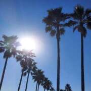 ヒメ日記 2026/04/12 11:05 投稿 はな 人妻小旅行